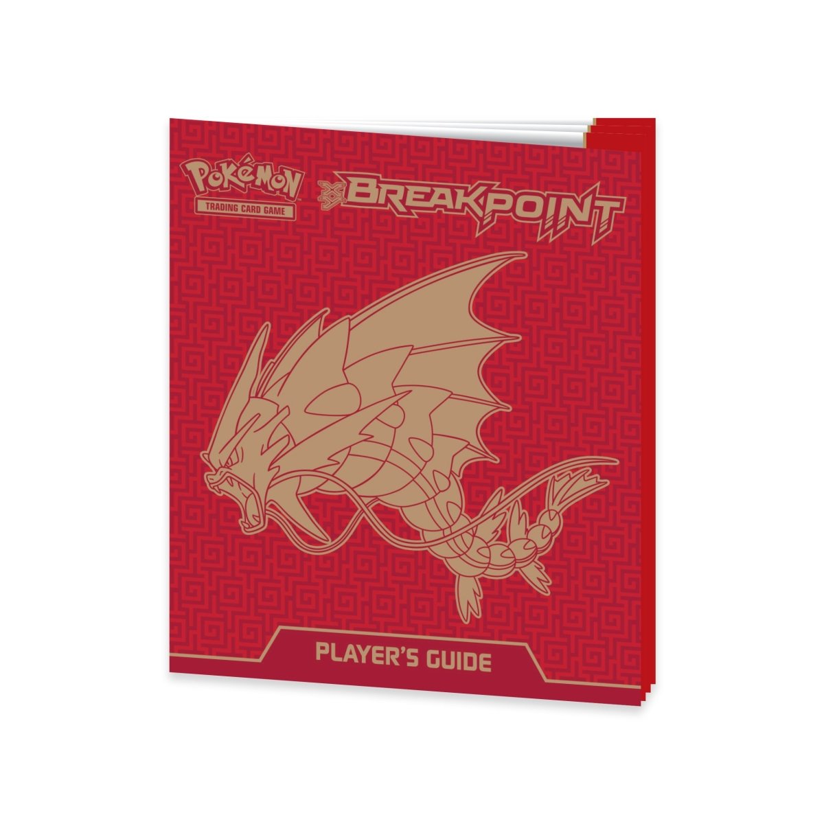 XY BREAKpoint Elite Trainer Box