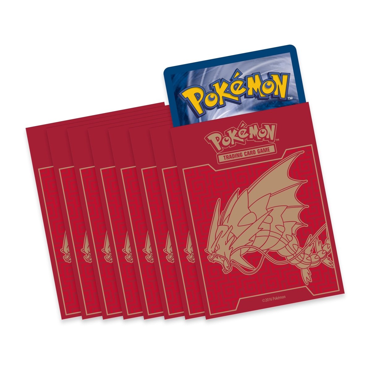 XY BREAKpoint Elite Trainer Box