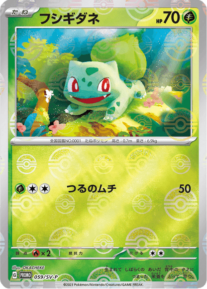 Pokemon 151 Card File Set - Venusaur, Charizard, and Blastoise