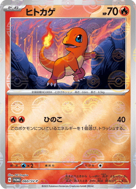 Pokemon 151 Card File Set - Venusaur, Charizard, and Blastoise
