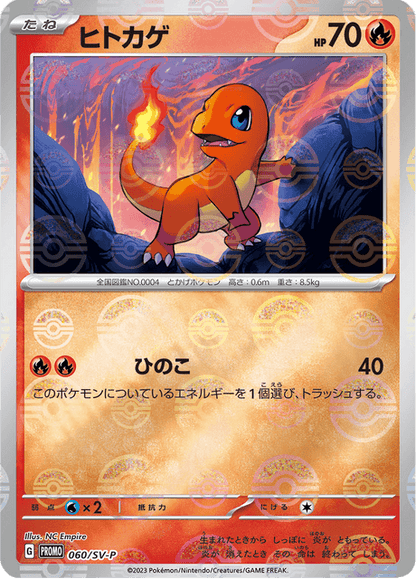 Pokemon 151 Card File Set - Venusaur, Charizard, and Blastoise